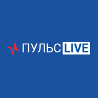 Статистика Дзен ПУЛЬС LIVE | ОМСК