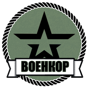 Дзен Военкор статистика