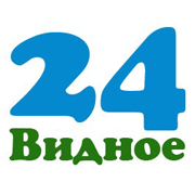 Статистика Дзен Видное 24