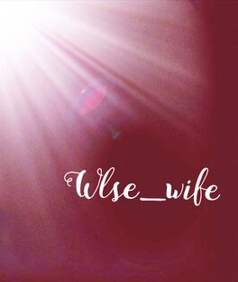 Дзен Wise wife  статистика