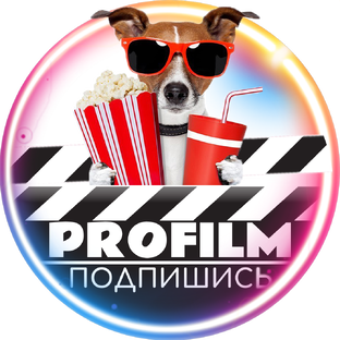 Дзен ProFilm статистика