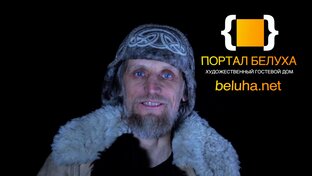 Статистика Дзен Леонид Болгов Портал Белуха