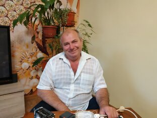 Статистика Дзен Куры инкубаторы цыплята