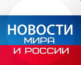 Дзен Новости мира и России.   статистика