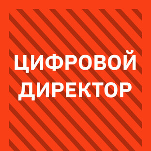 Статистика Дзен Цифровой директор