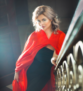 Дзен Елена Шубина статистика