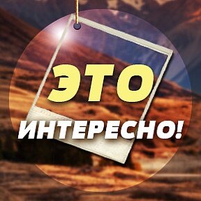 Дзен VEASY статистика