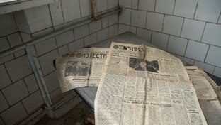 Дзен Россия статистика
