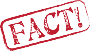 Дзен It's Fact! статистика
