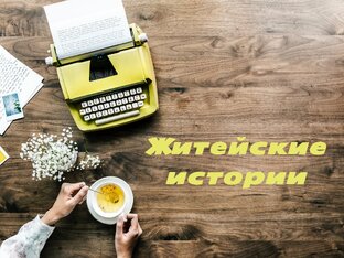 Дзен Житейские истории статистика