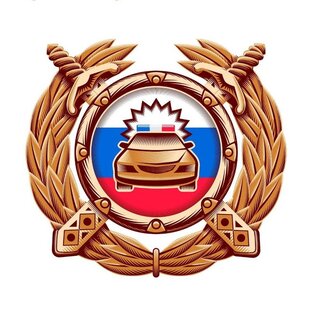 Дзен БЛОГ В ПОГОНАХ статистика