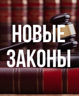Статистика Дзен Новые законы