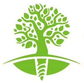 Статистика Дзен Стоматология ROOTT