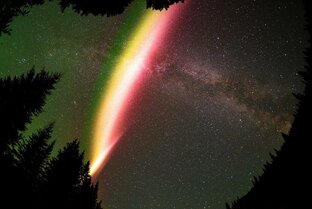 Дзен Открытая планета статистика