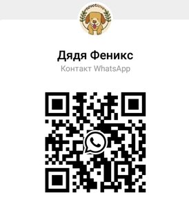 Статистика Дзен Дядя Феникс