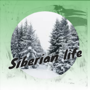 жизнь в сибири дзен