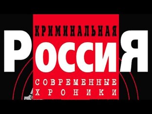 Дзен Криминальная Россия  статистика