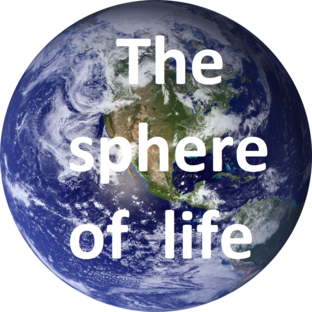 Дзен The sphere of life статистика