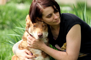 Статистика Дзен "Взять Собаку. Please adopt me"