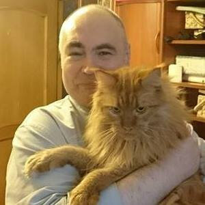 Дзен Виталий Ш статистика