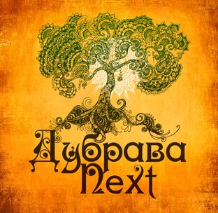 Статистика Дзен Фолк-ансамбль Дубрава Next