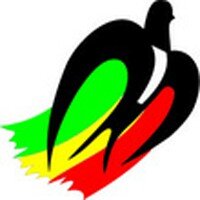 Статистика Дзен ТСК Авангард