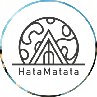 Статистика Дзен hatamatata