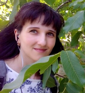 Статистика Дзен Анна Ерилина