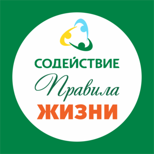 Статистика Дзен Правила жизни