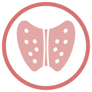 Дзен Thyroid clinic статистика