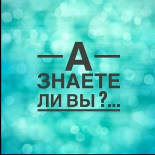 Дзен Интересные факты о машинах.  статистика