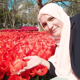 Дзен Переезд в Турцию. Стамбул  статистика