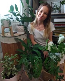 Статистика Дзен Уютная жизнь