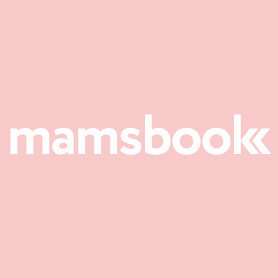 Статистика Дзен Mamsbook