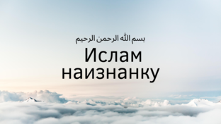 Дзен Ислам Наизнанку  статистика