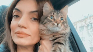 Статистика Дзен Волонтер Матвеева Алена