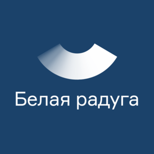 Статистика Дзен Белая радуга | Сеть стоматологических клиник 