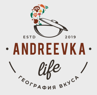 Статистика Дзен AndreevkaLife