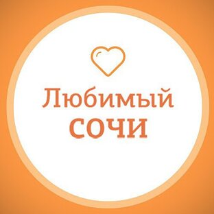 Статистика Дзен Любимый Сочи