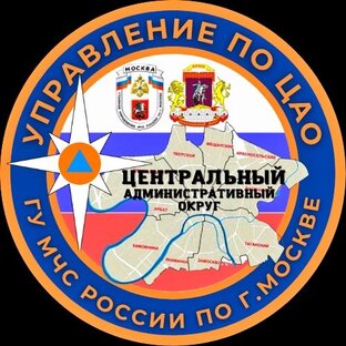 Статистика Дзен МЧС Москвы по ЦАО