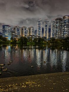 Дзен МОИ ПРАВИЛА ЖИЗНИ статистика