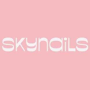 Дзен Skynails статистика