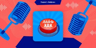 Дзен Данил Садовниченко статистика