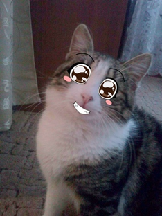 Дзен У нас всегда интересно! статистика