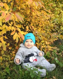 Дзен РАЗВИВАШКИ | ПОЗИТИВ статистика