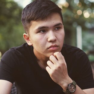 Дзен Ежик Туманский статистика