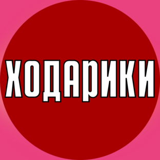 Статистика Дзен Ходарики