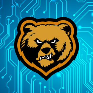 Канал bear. Медведь для канала. Медведь дзен логотип.
