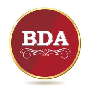 Статистика Дзен BDA