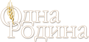 Дзен Наша Одна Родина статистика
